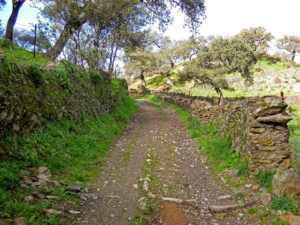 Calzada romana que forma el sendero del cementerio